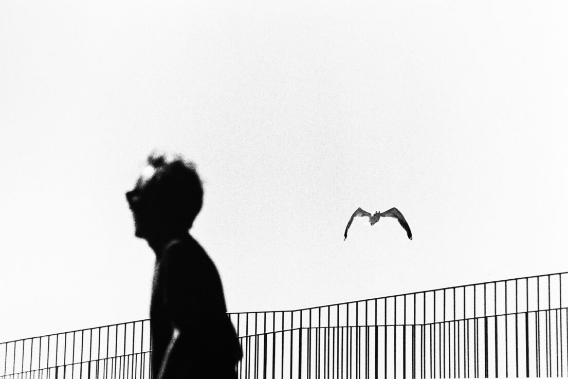 Veni, Vidi, Venice 13